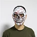 Skull Mask